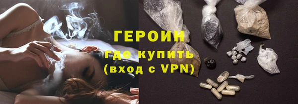 индика Ельня