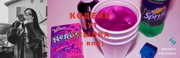 spice Елизово