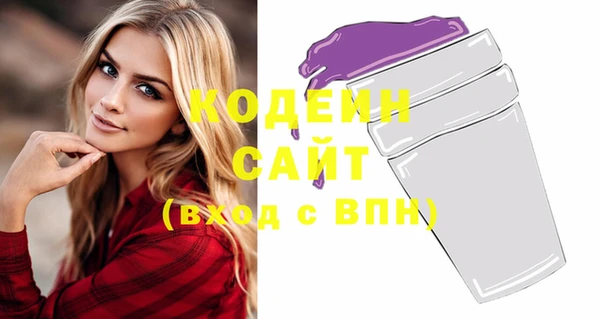 индика Ельня