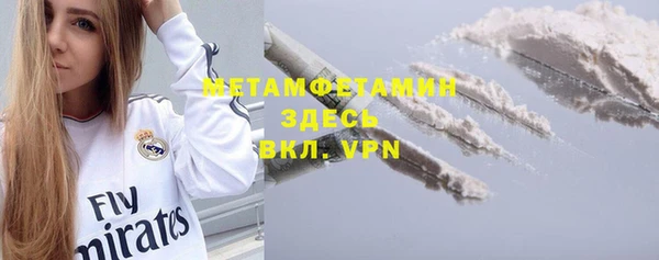 индика Ельня
