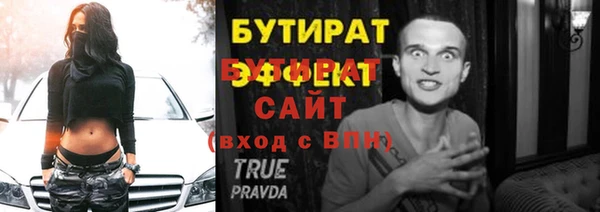 индика Ельня