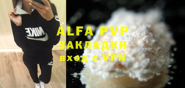 индика Ельня