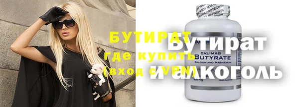 индика Ельня