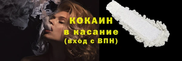 индика Ельня