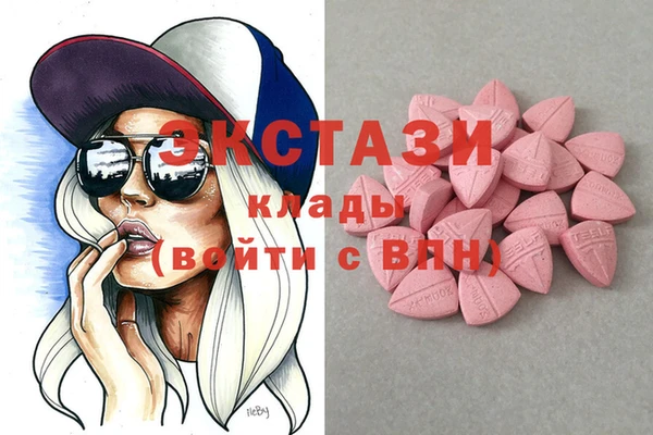 индика Ельня