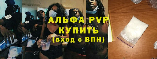 индика Ельня