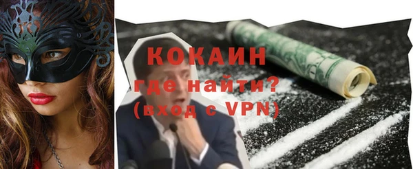 индика Ельня