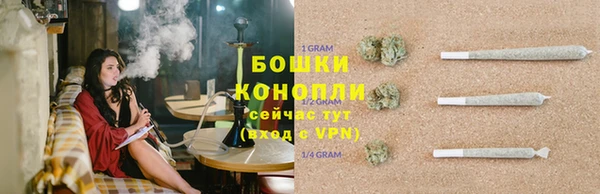 spice Елизово