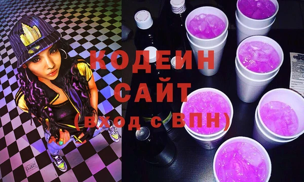индика Ельня