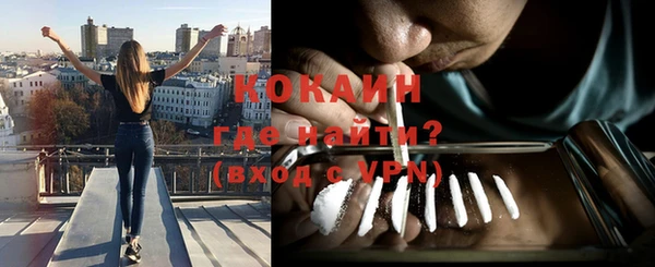 индика Ельня
