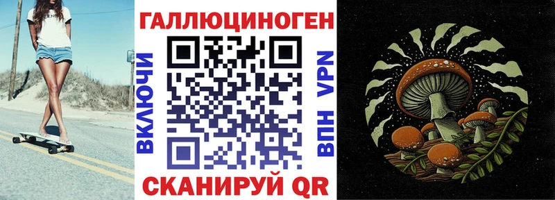 Купить закладки  Северская  Псилоцибиновые грибы прущие грибы 